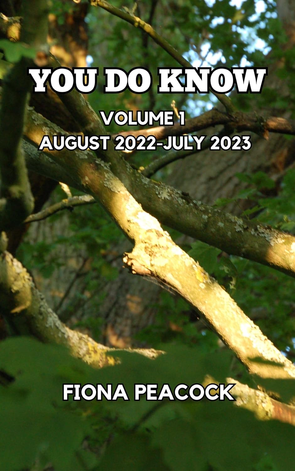 You Do Know: Volume 1